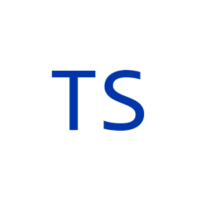 TS review projektarbeit